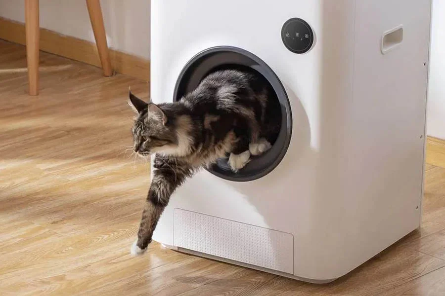 cat litter box that cleans itself