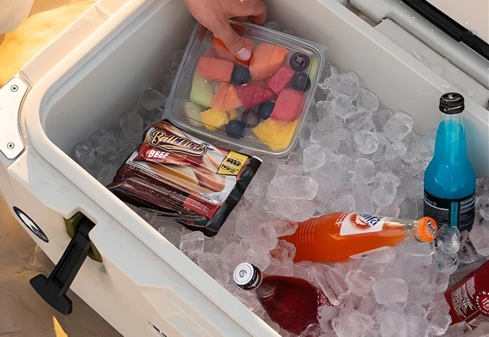 outdoor cooler with storage