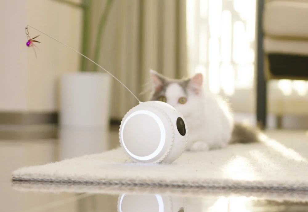 the best pet camera