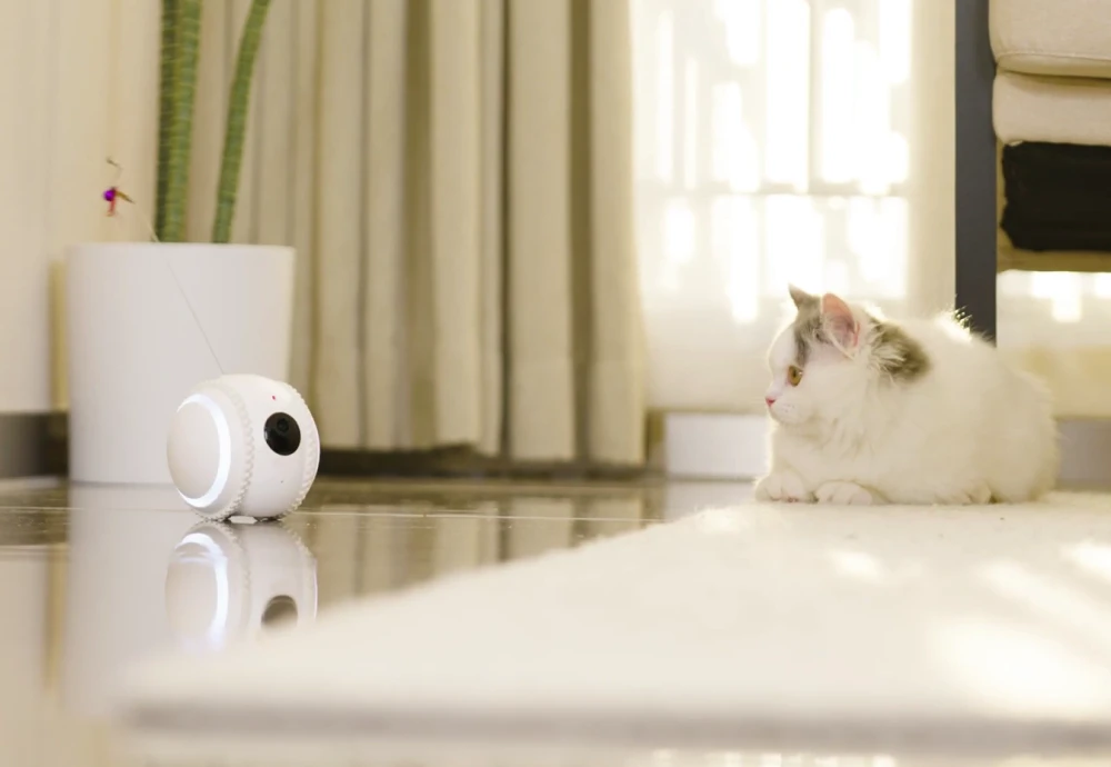 video camera for watching pets