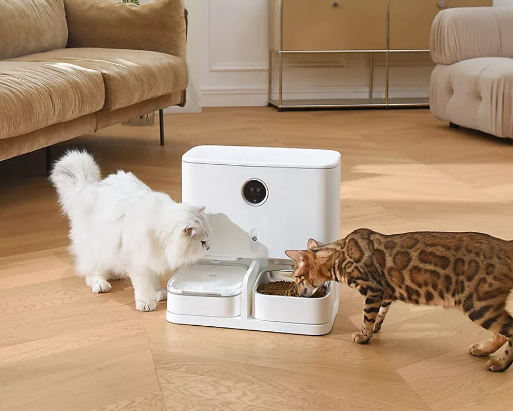 pet automatic feeder dispenser