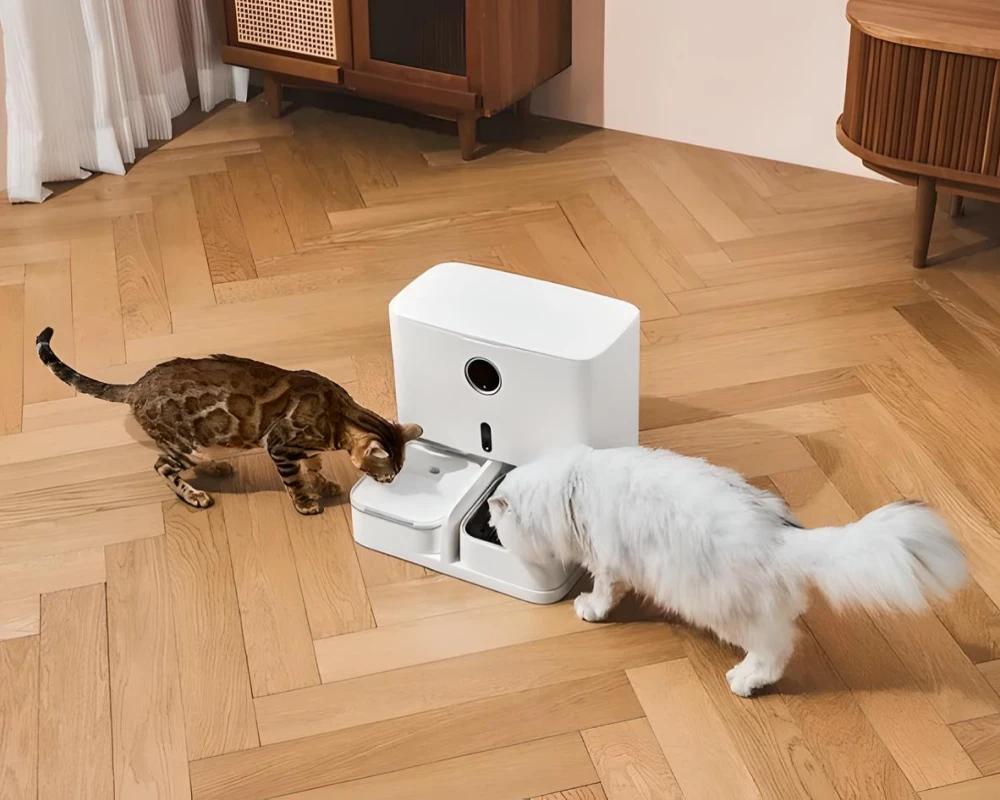 automatic pet feeder and waterer